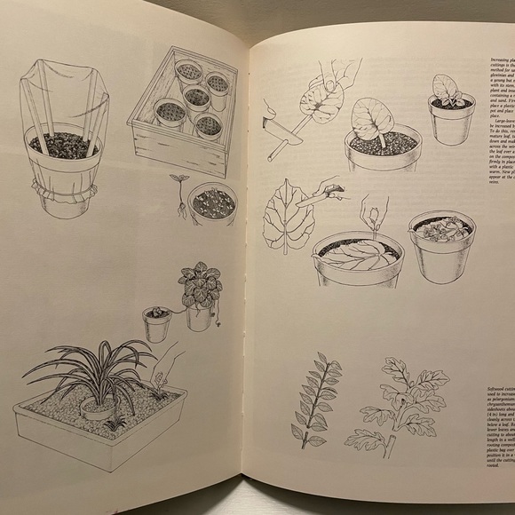 Vintage Colourful Houseplants Book - Picture 2 of 4